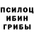 Псилоцибиновые грибы Psilocybine cubensis Busterka. zz