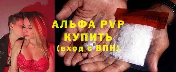 стафф Алексин