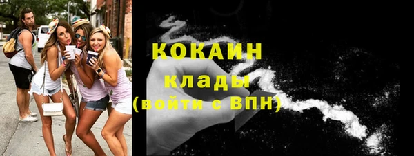 стафф Алексин