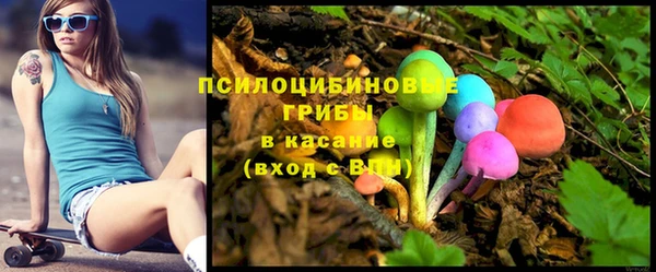 стафф Алексин