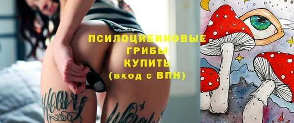 а пвп мука Новозыбков